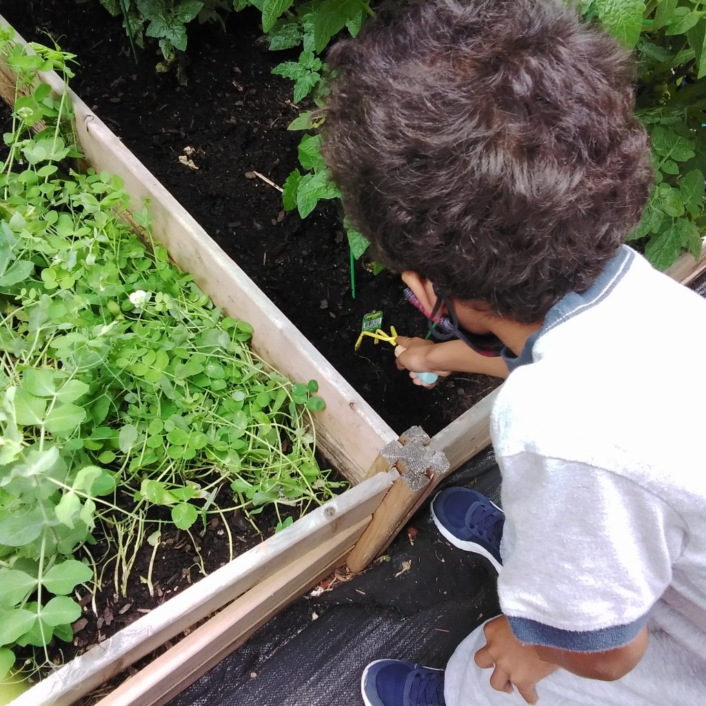 school garden science outdoor play